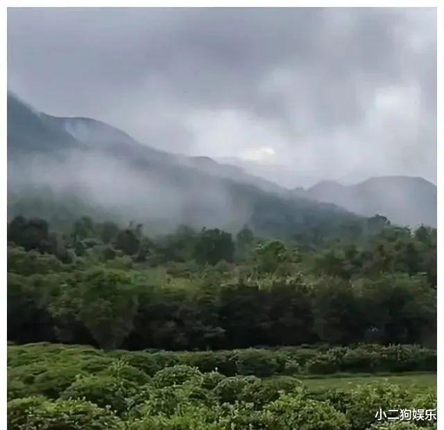 许敏又迎来了一个巨大的好消息!