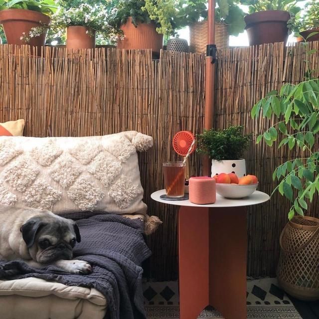 28岁女主晒独居生活火了:一个人把家布置得有滋有味,治愈超多人