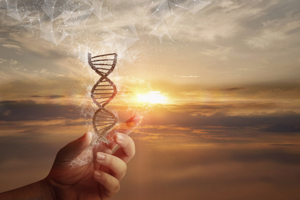 生物技术专业学什么比较好?