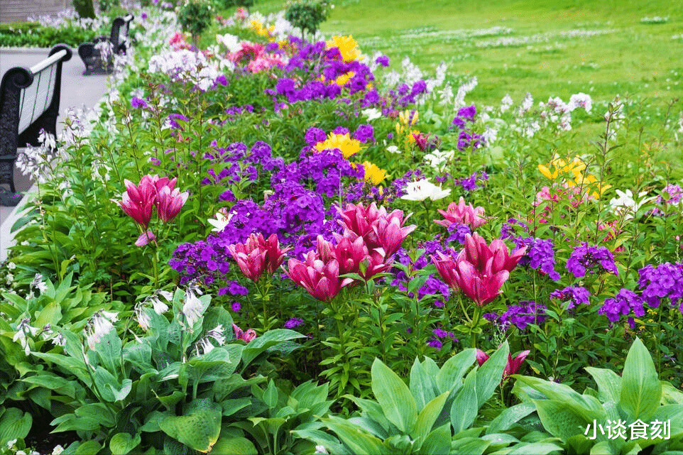 夏日吃苦胜似进补,奶奶告诉我:多吃4种苦菜,夏吃苦的好处要懂