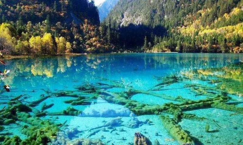 洛阳|再过半月!成都周边这个仙境,拥有最完美秋天