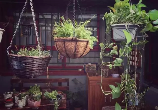 惊艳！美女仅花3500块，打造的出租屋竟媲美咖啡厅！