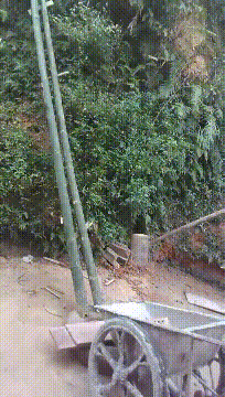 来这家饭店吃烤全羊，才15块一只！当菜端上来时我蒙了...哈哈哈