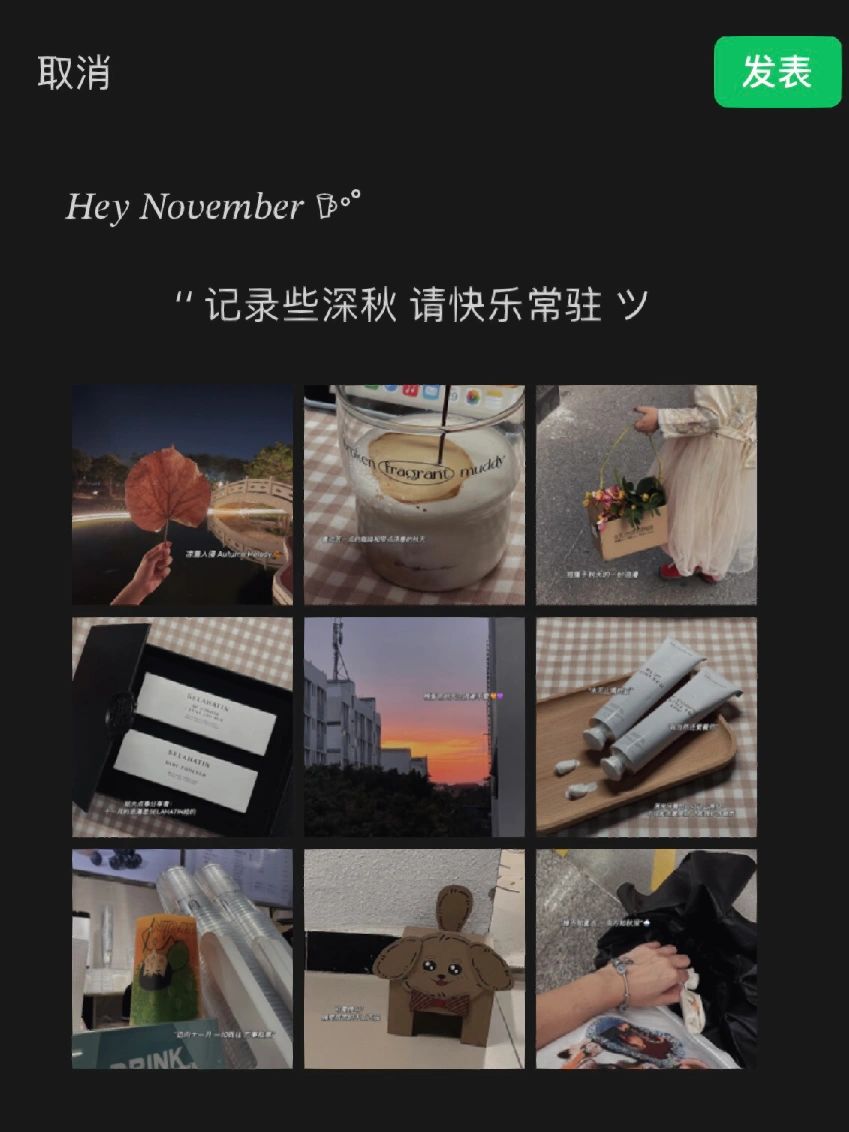 朋友圈plog|十一月文案|\uD83E\uDD40“衔着晚秋的浪漫”