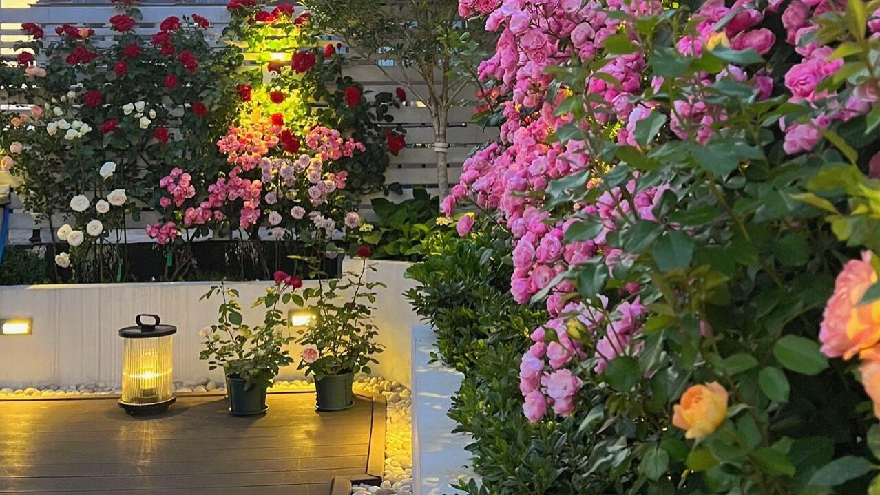 防水|没院子，买栋带露台的顶层，花2.3w把32平露台改造成花园，太美了