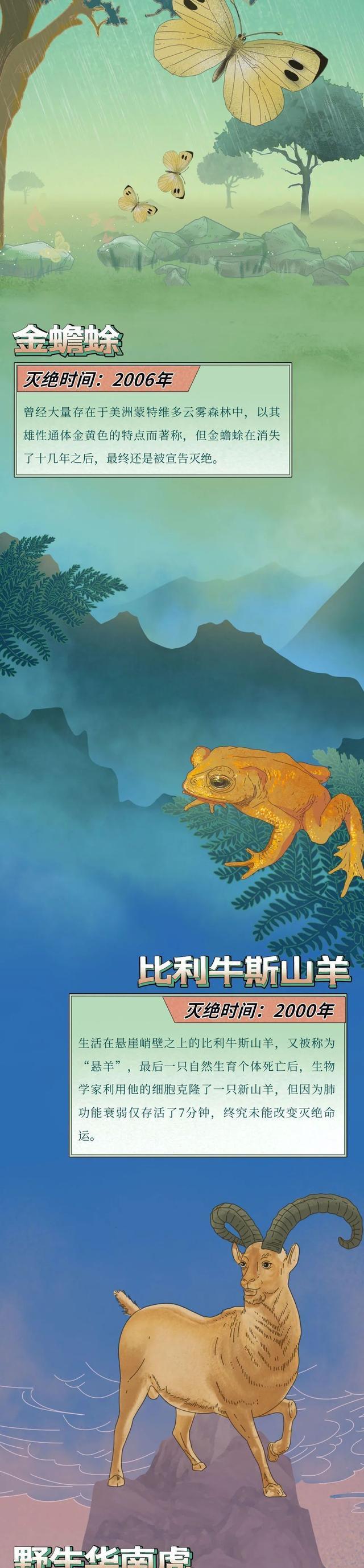 “第六次全球动植物大灭绝,正在进行中……”一组漫画了解