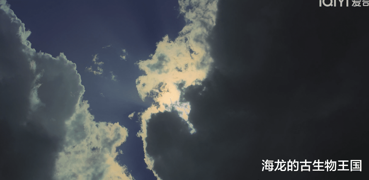 最聪明的机会主义者-----伤齿龙!