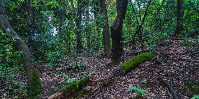 虽然经常出现,但容易让人产生误解的23个奇怪冷知识