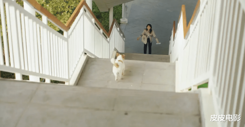 赵三悦|已冲上热播榜第3名,没想到,朱一龙之后,该换这位女演员火了