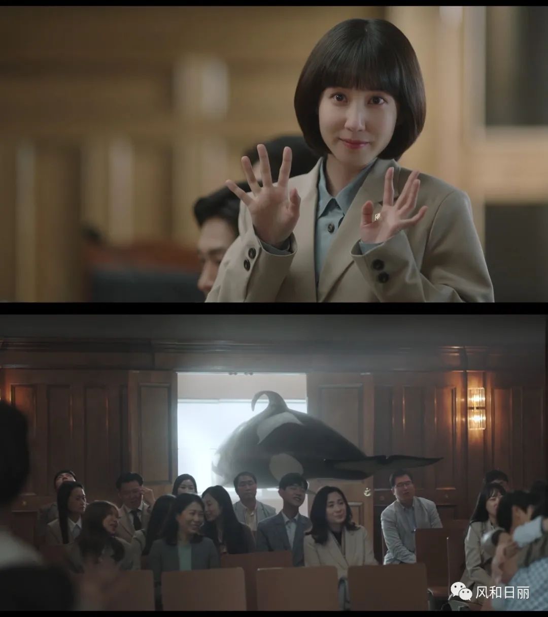 律师|本季职场剧最佳!谁不羡慕这样的神仙办公室气氛?