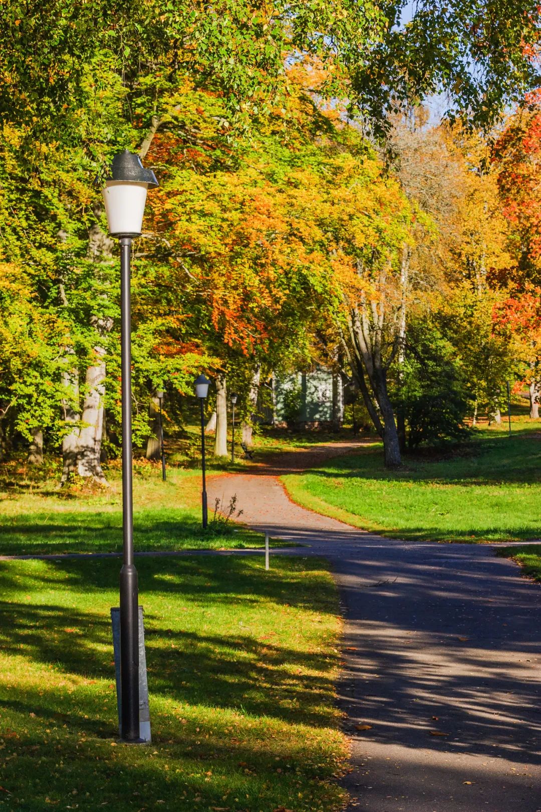 犀牛VOLO | 月是故乡明，中秋合家欢