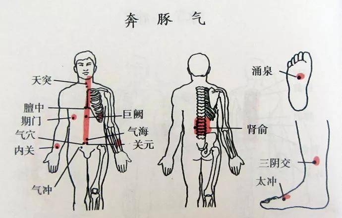 银耳|老觉得肚子里有气往上顶、心慌、腹痛?送你一方,降冲逆、补心血