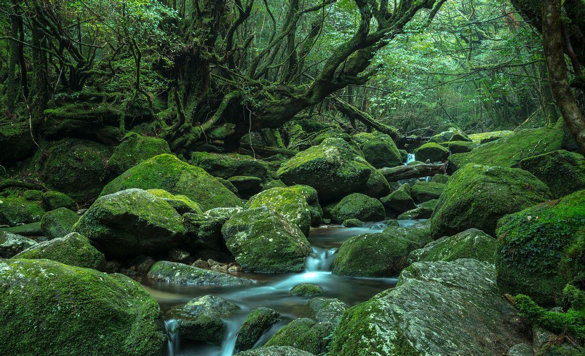 海边|全球闻名的6大禁区，无论你是何身份，都不得随意闯入！