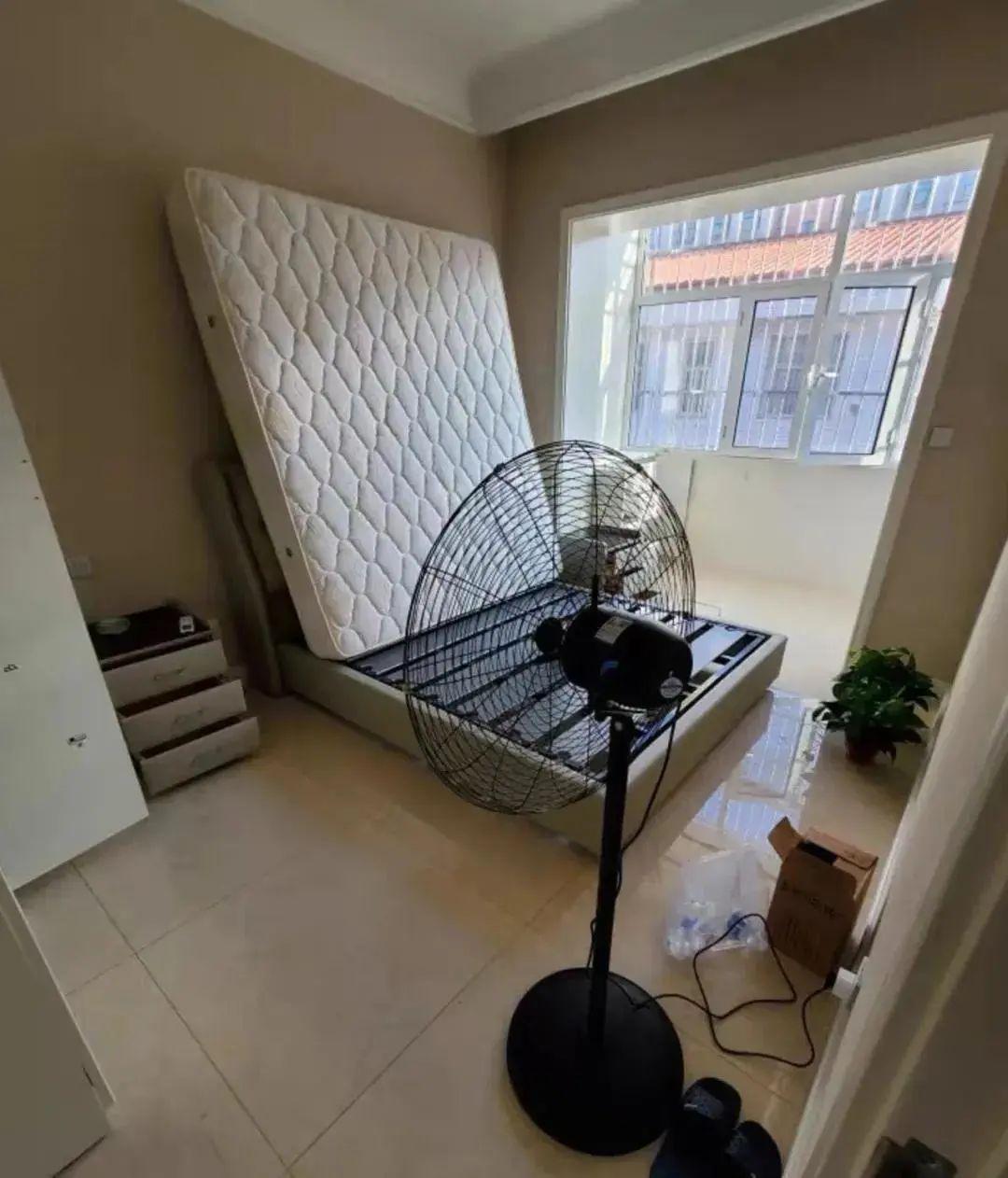 除甲醛困难多?牢记这些小妙招,自己动手没问题,省钱安全不耽误