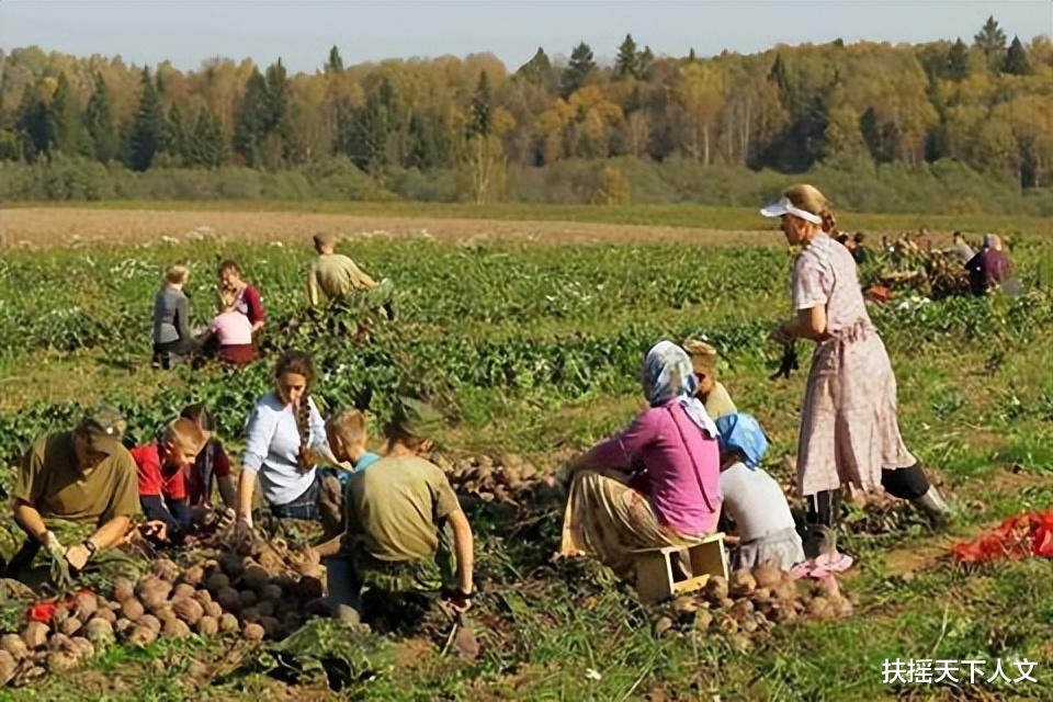 丽江|田园牧歌的生活,50张风景照片带你一起走进俄罗斯村庄的夏天
