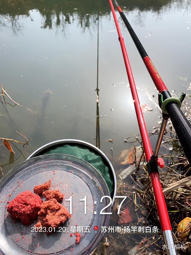 |鱼情泛滥，一不小心钓了三个大头鱼，请问该怎么吃？