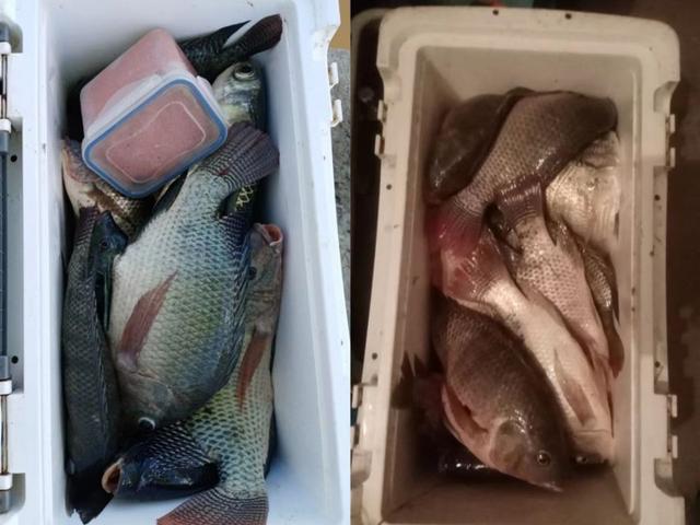 |【作钓报告】2022钓鱼之路已走完,2023开拓新的天地解锁新鱼种