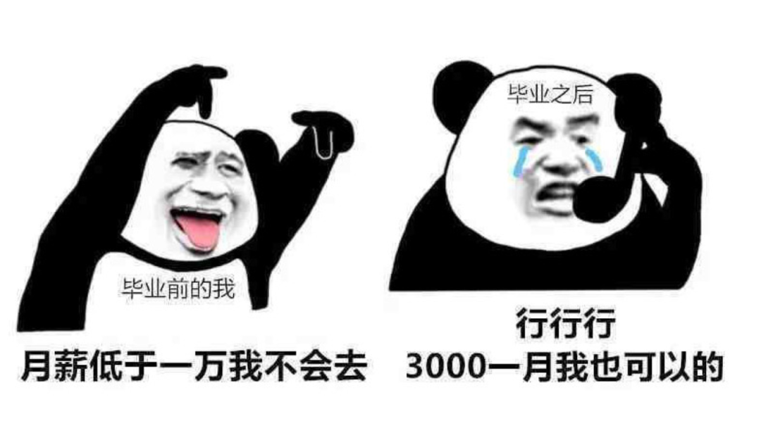 求职|当代大学生求职现状，预期无限度下调，月薪高于房租就能接受