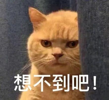 手表 手表机芯保养到底重不重要？如何准确判断手表是否需要保养