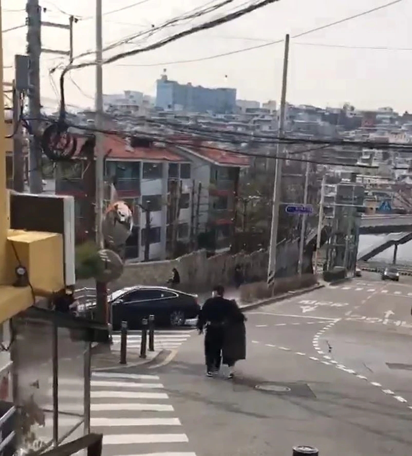 郑智薰|Rain金泰希撇下俩女儿享受夫妻单独旅游，Rain为老婆拍照尽显甜蜜