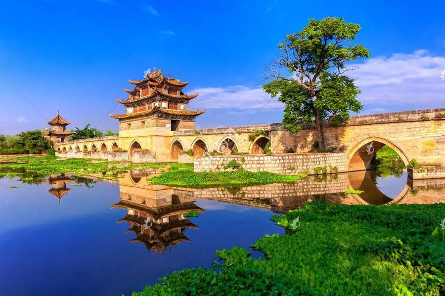 青岛市|青丘缘起，荷海芳华，除了荷花，你还能在普者黑看到什么？