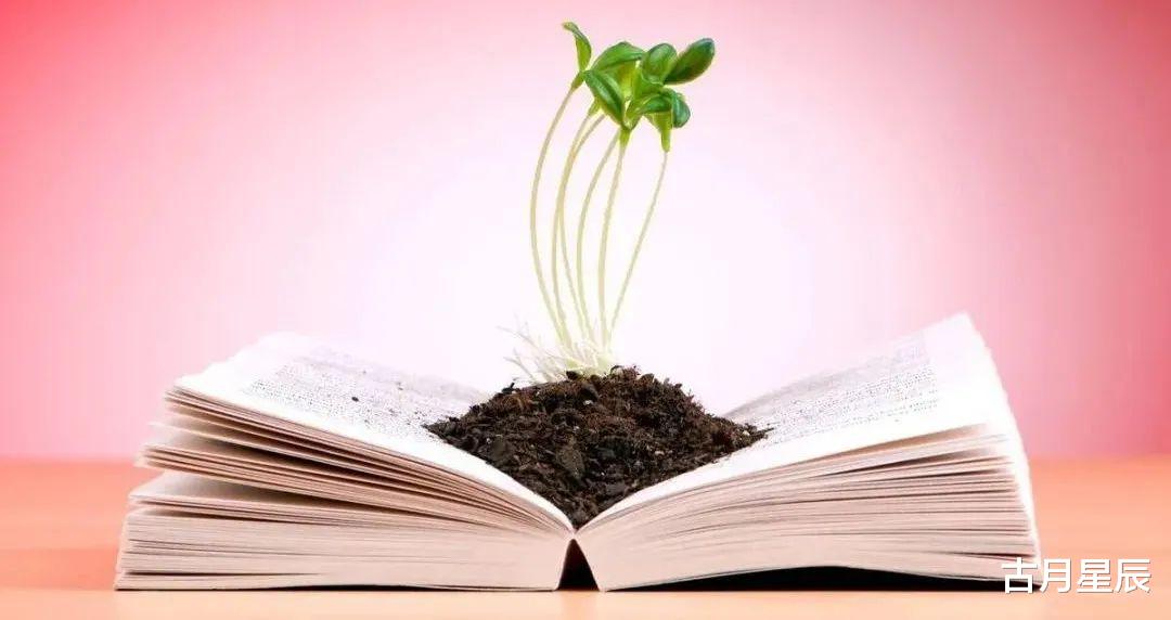 一字肩 一辈子只做一件事，就把这一件事做到极致！