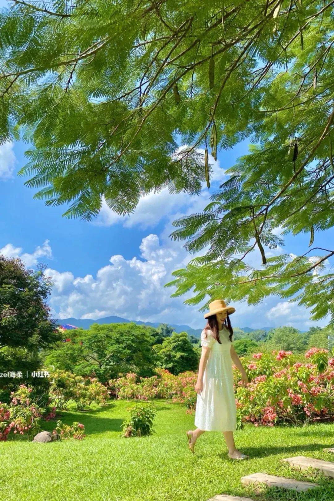 云南|最多336元！云南两大旅游胜地火车直达，这趟列车每一站都绝美