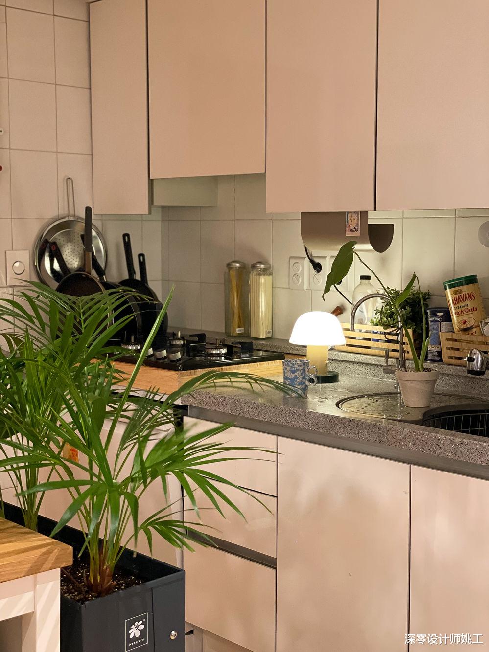 也只有年轻人能干这样的事儿吧!室内铺满绿植,就像进入“森林”般