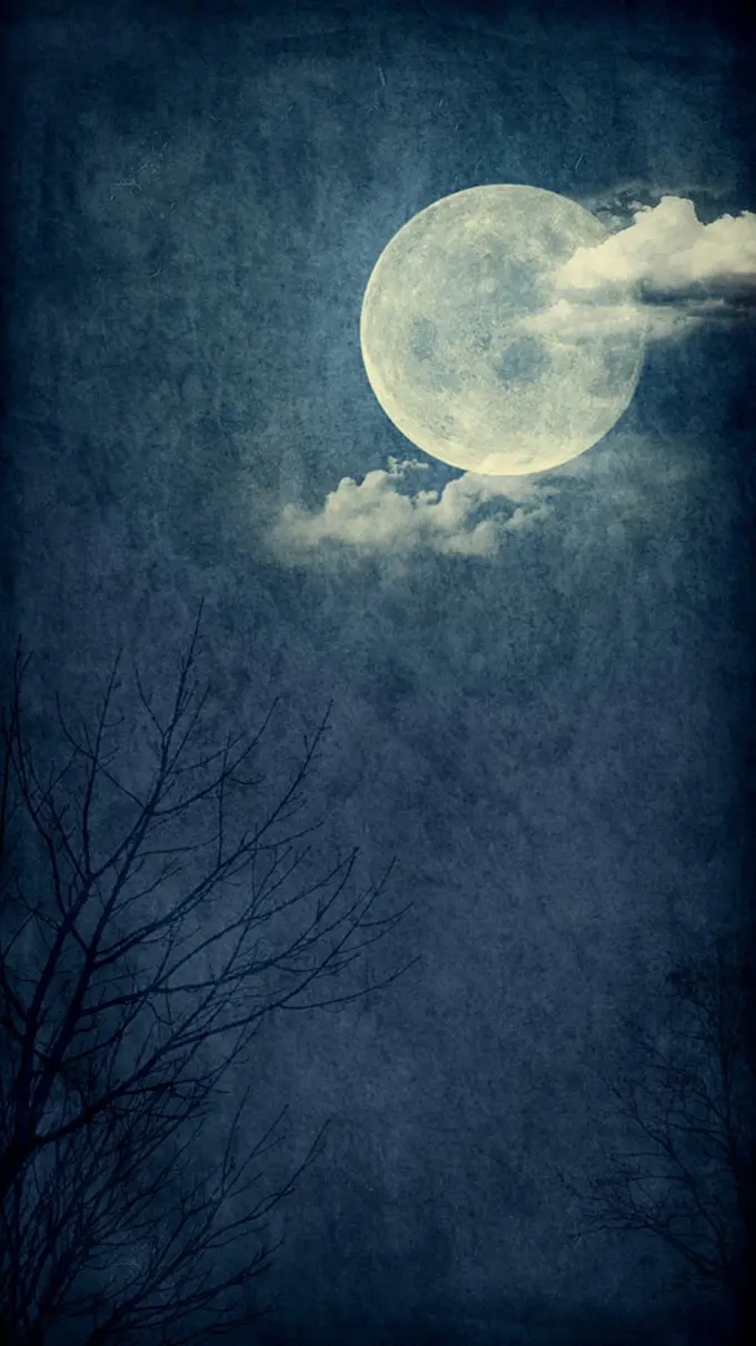 楼市|为什么说大家都是受益人?