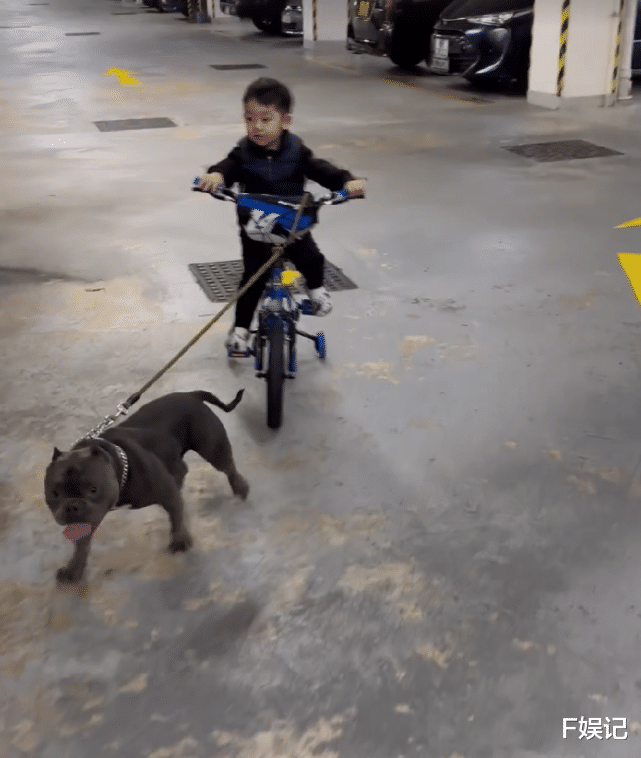 |梁靖琪夫妇带大儿子出去逛街享受家庭乐 夫妻俩陪大儿子开心玩耍