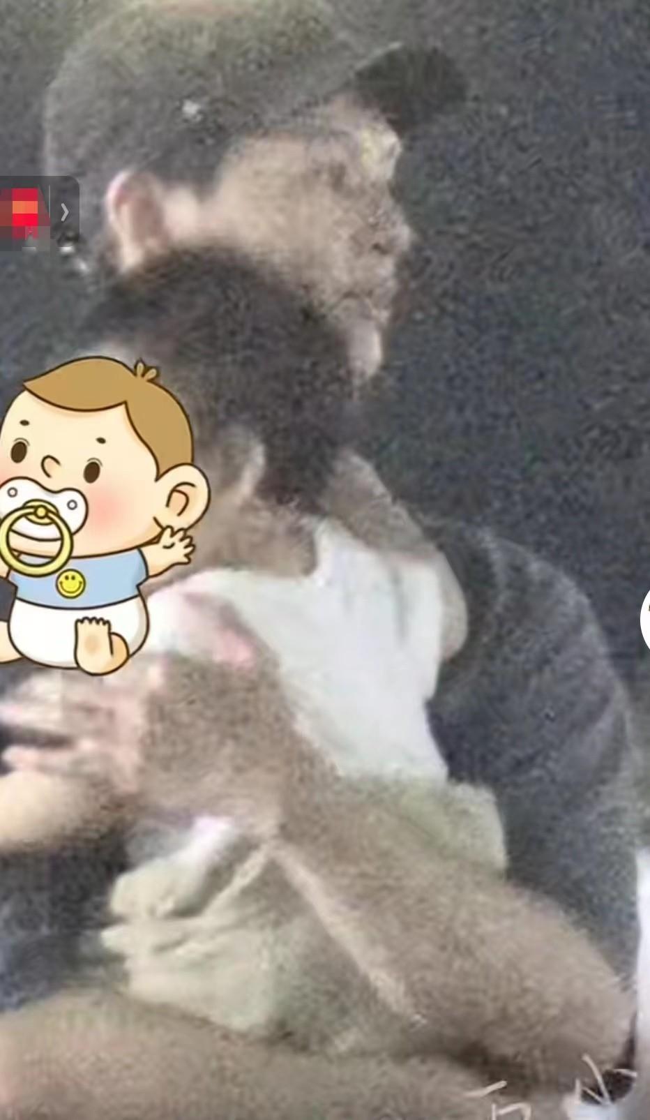 尹昉|36岁男星带娃被拍，穿着朴素抱娃姿势熟练，事业上升期结婚生子