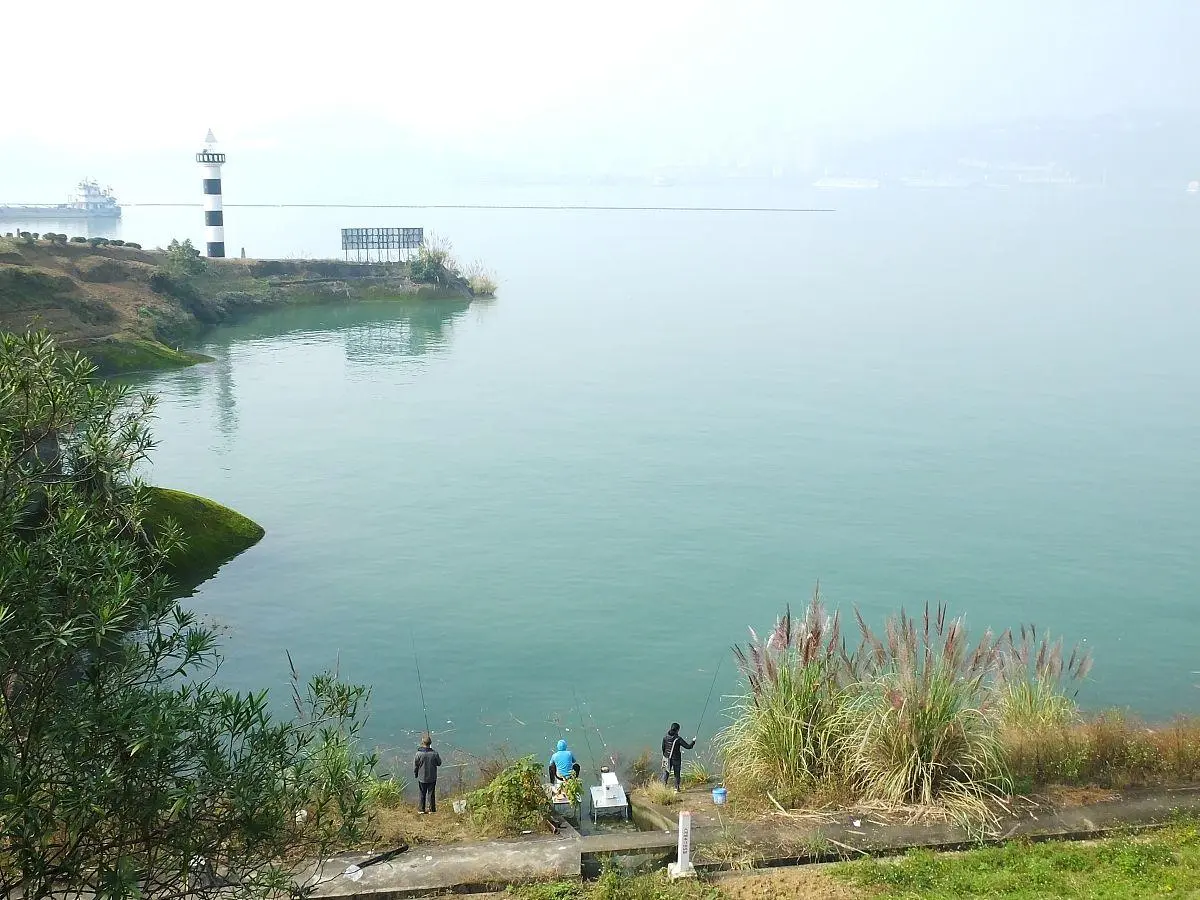 鲤鱼|备受争议的泥鳅钓法到底有多恐怖？三天钓清一座水库！