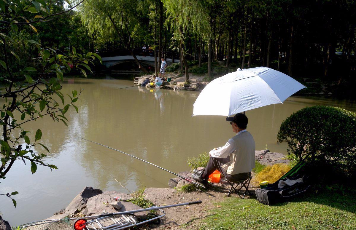 |天热鲫鱼不好钓,熟记这四个技巧,天气再热也能连竿上鱼