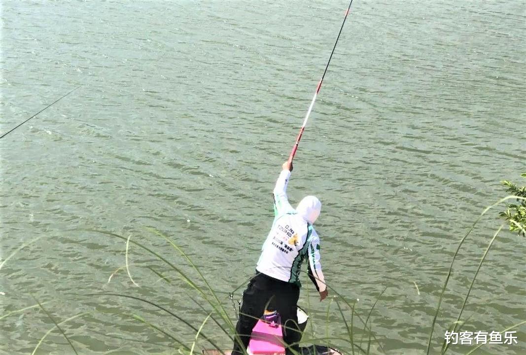 带鱼|初春钓鱼抽窝越多、鱼离窝点越远？用长竿钓远，怎样抛竿比较好？