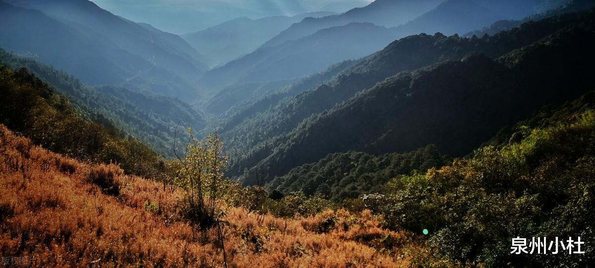 高黎贡山|去一趟高黎贡山吧！风景绝美，山中的百花园，世界自然博物馆