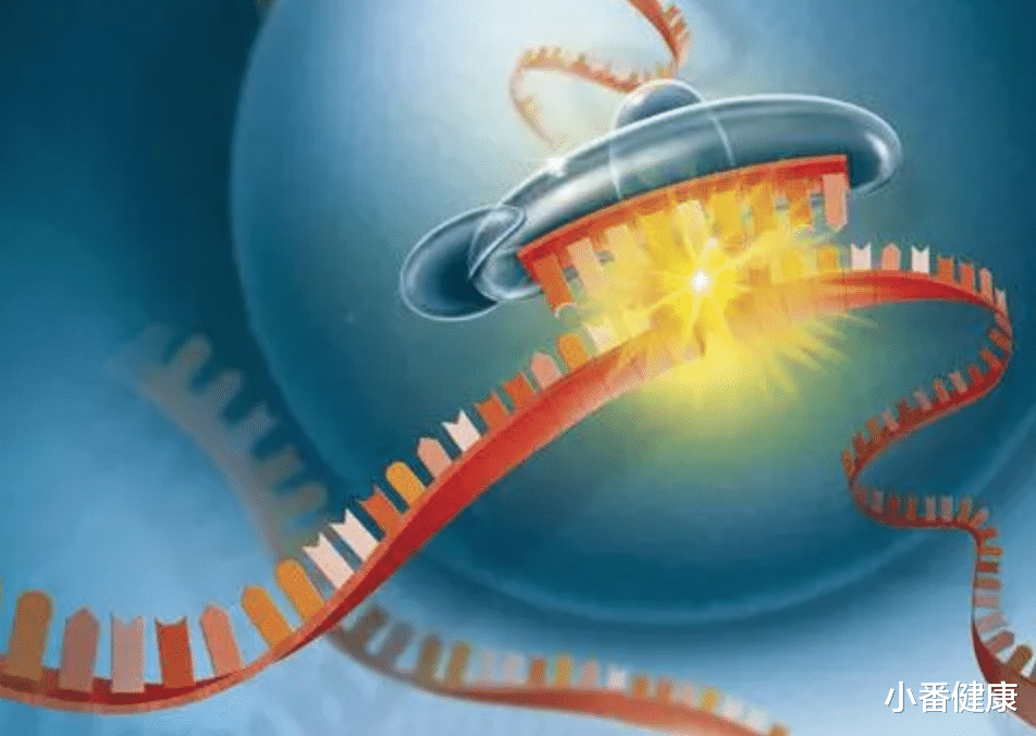 乙肝|乙肝2022年欧肝会后,杨梅生物制药点评,汇总3种候选药物进展