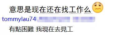 同人动画|从电影行业辞职回归同人动画四个月后，他重新拿起简历开始求职