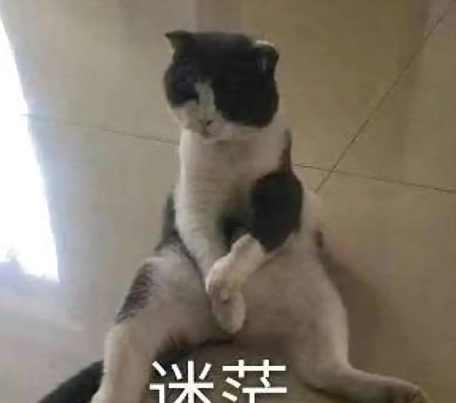 hr|90后打工人面试,想找个双休的工作,HR:“看来你还是不差钱啊”