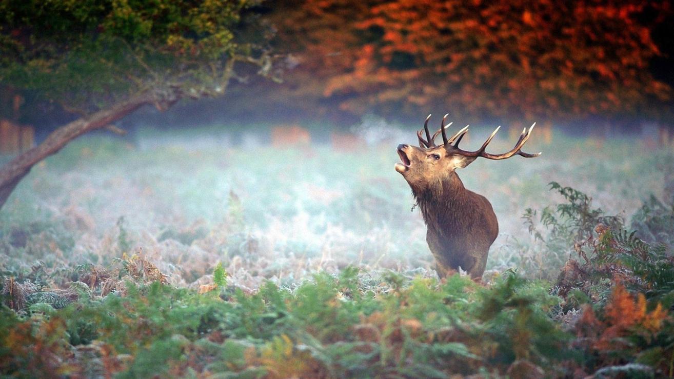 |职场人只怕两种人,第一种只怕心里有鬼,第二种只怕没良心的人