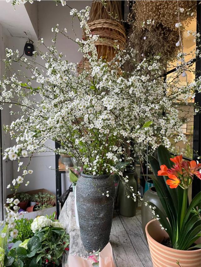 质问某些家居博主：这些“网红家居产品”，你们自己会用吗