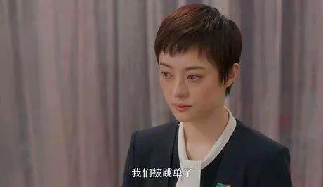 谢娜|他们又被群嘲了?