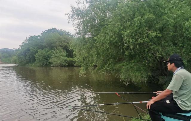 |钓5米还是10米,夏钓潭中的“潭”到底是多深?一篇文章讲清楚