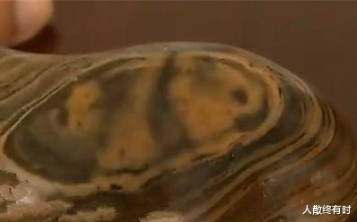 青岛大哥捡到熊猫奇石,有人出价百万不卖,专家估价后:幸亏没卖