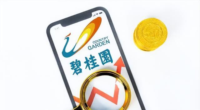 碧桂园|负债1.6万亿?碧桂园稳不稳究竟该怎样评估?