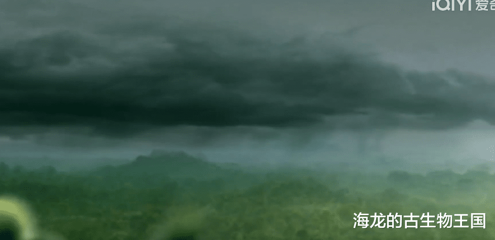 史上最大蜻蜓出场!原水蝎螈才是石炭纪森林中的霸主!