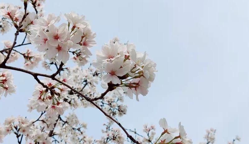 |那些有上进心的人都有这5大表现