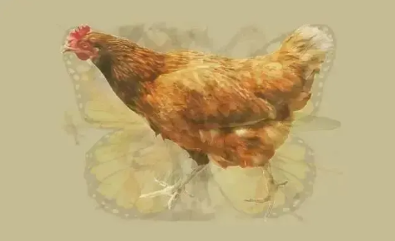 第一眼看出什么动物,你就是什么人