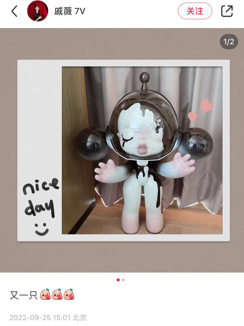 戚薇|戚薇晒限量公仔照疑似官宣二胎出生,评论区满是祝福,被曝是儿子