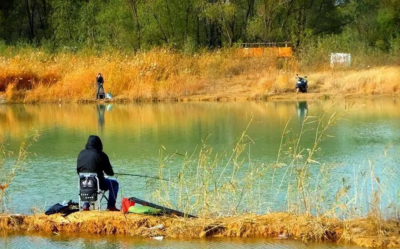 霜降|霜降过后降温明显,想要渔获满满不走空,这四个技巧助你一臂之力