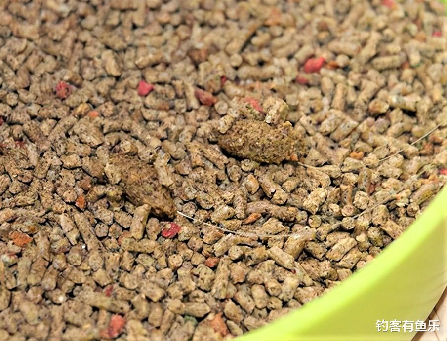 饵料|为什么野钓时很少有人抽窝?在什么情况下才适合开散炮抽窝?